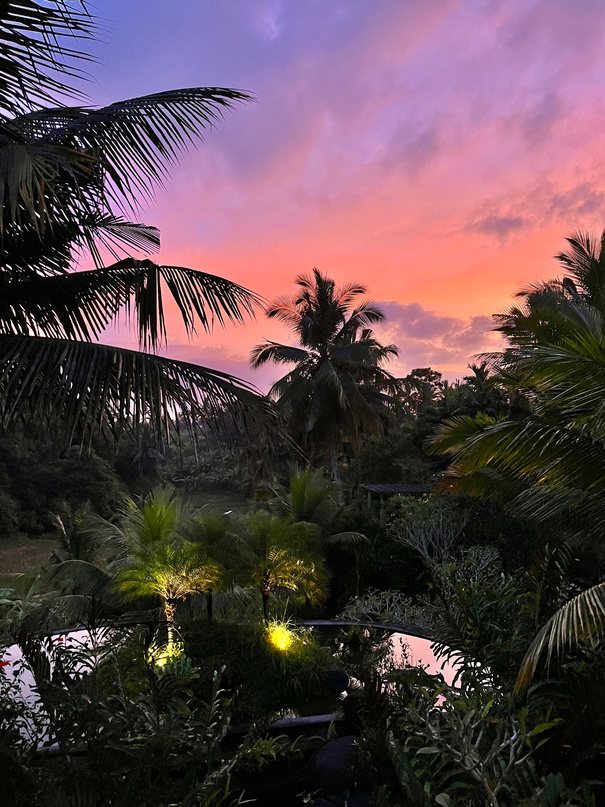 Styled still, sunset over palms