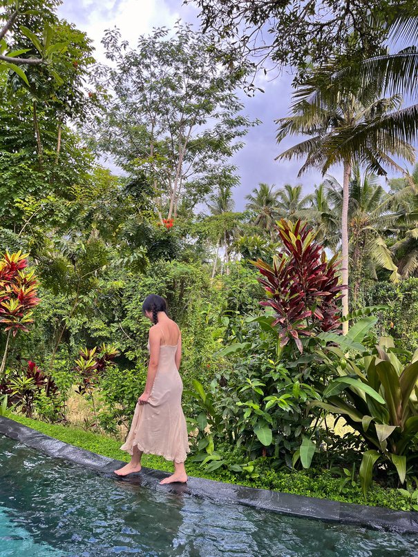 Styled still, rainforest walk